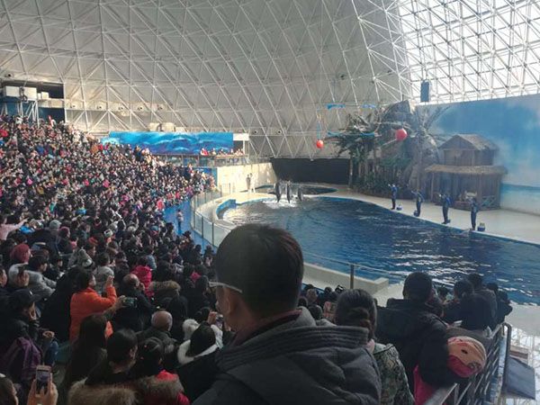 建榮皇家海洋世界