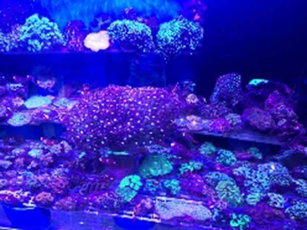 鄂爾多斯海洋館