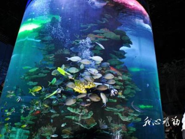 蓬萊極地海洋世界