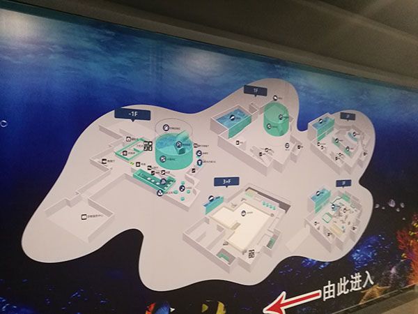 海洋館臭氧發(fā)生器廠家