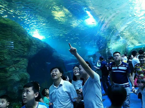 水族館設(shè)計(jì)建設(shè)工程