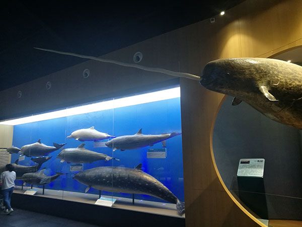 海洋館設(shè)計(jì)建設(shè)工程